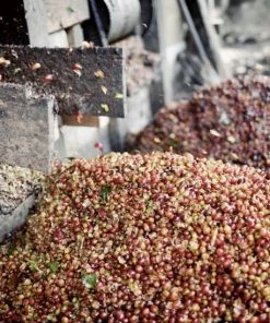 Johan & Nyström Sumatra Gayo Coffee Beans -saquella shop unnamed file 114